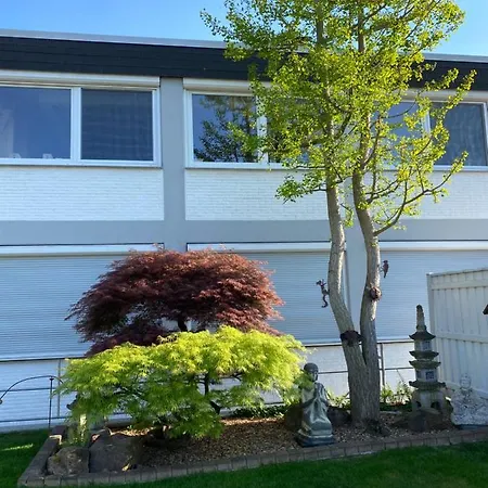 アパート Basement 77 *